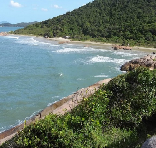 fora 1