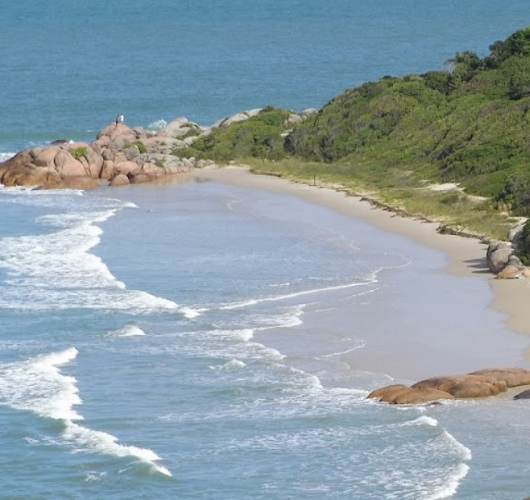fora 3