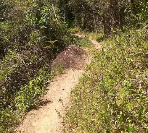 prainha 3 (1)