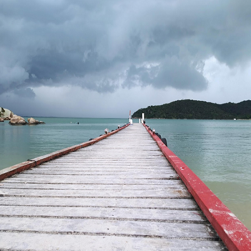 Baía dos Golfinhos