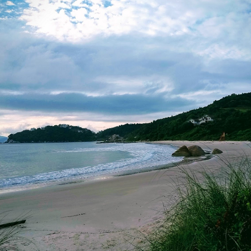 Praia das Bananeiras