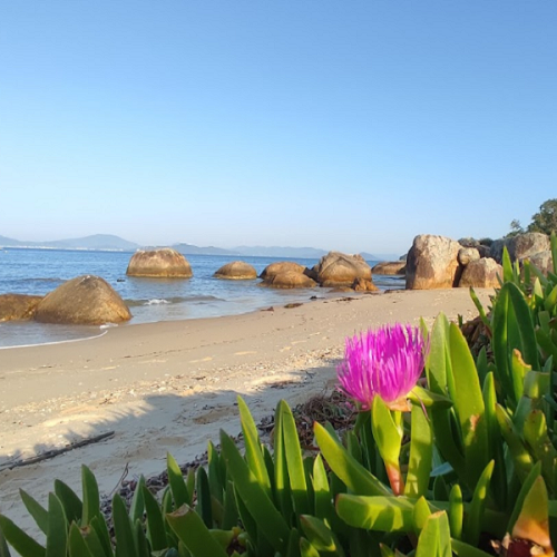 Praia da Costeira 