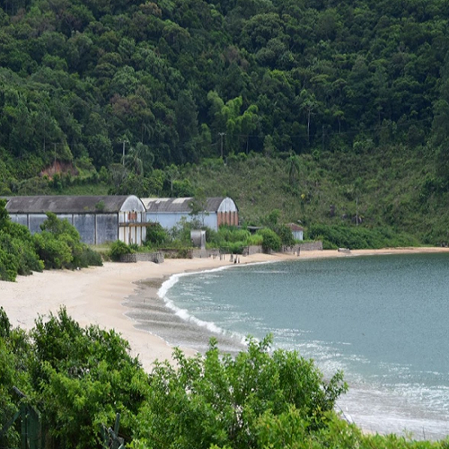 Praia dos Currais